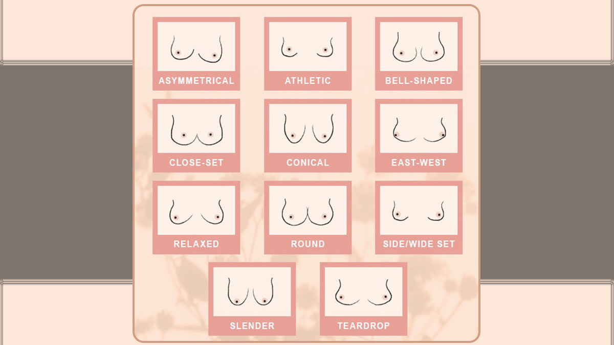 سوتین مناسب فرم سینه های مختلف